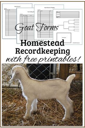 free livestock record keeping templates